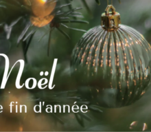 JOYEUX NOEL ET BONNES FETES DE FIN D’ANNEE